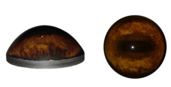 40 mm Elk Eyes