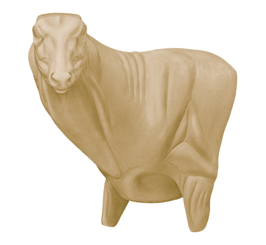 69-7019L-WPEX