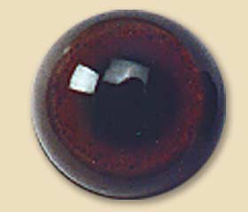 AB252