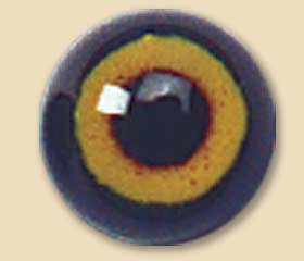 AB810