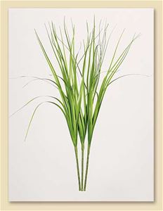 100x150cm soft grass ecological needle canvas
