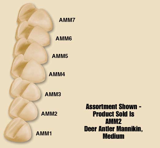 AMM2