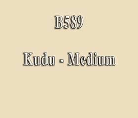 B589