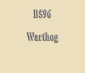 B596