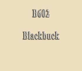 B602