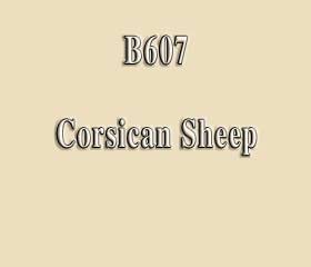 B607