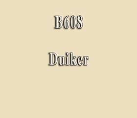 B608