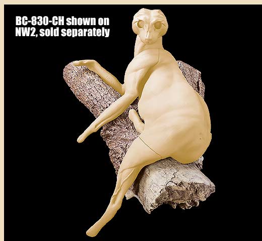BC-829-CH