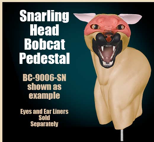 BC-9006-SN