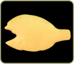 BL89