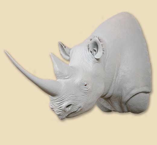 BRN40R