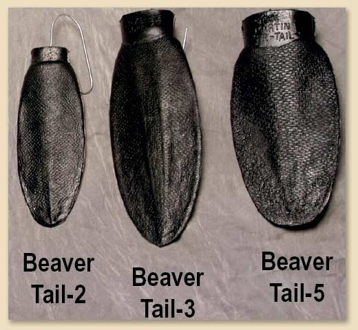 BTAIL-2