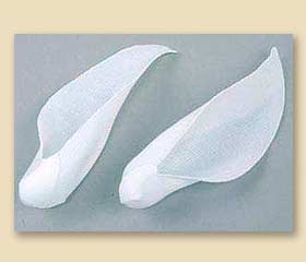 CAN1