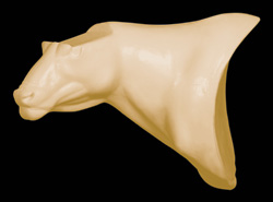 CBPD-2