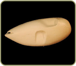 CG10