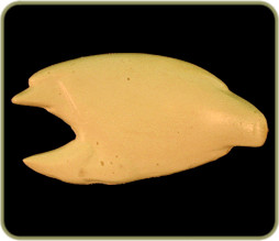 CL111