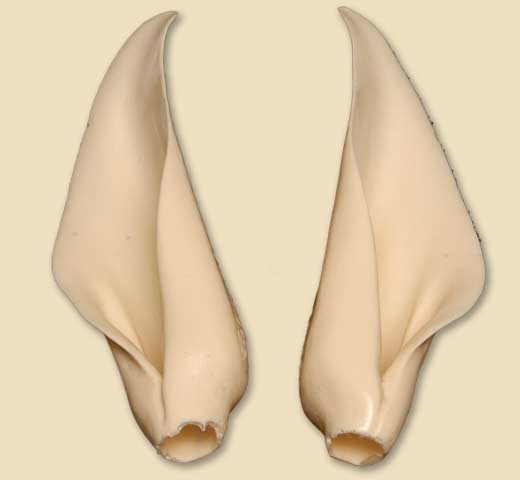 CRA1