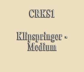 CRKS1