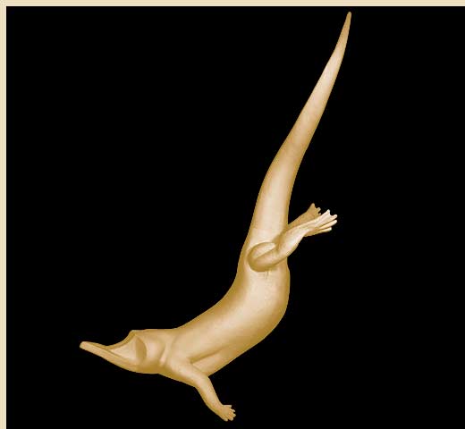 CROCLSSWIM