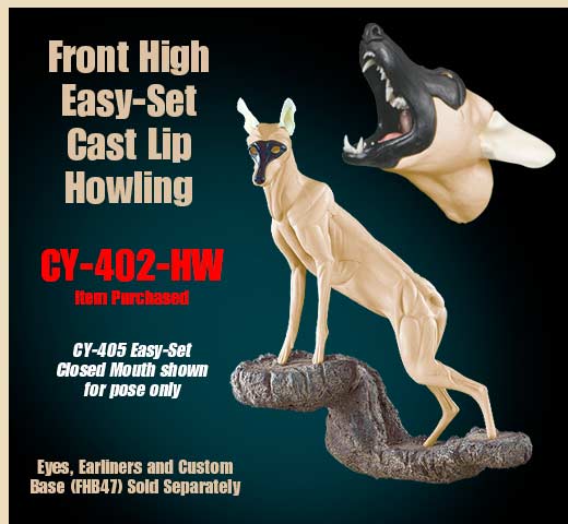 CY-402-HW