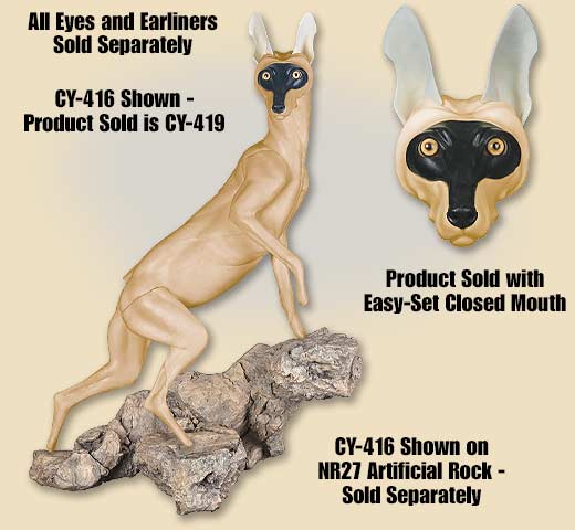 CY-419