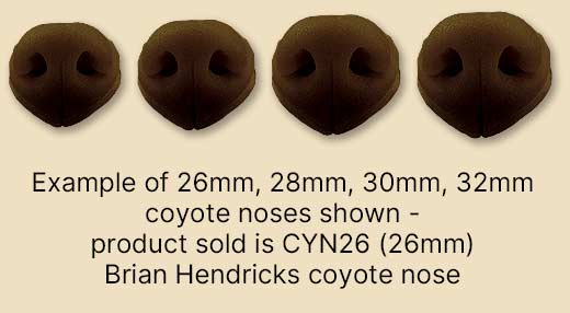 CYN26