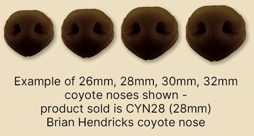 CYN28