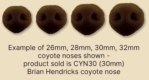 CYN30