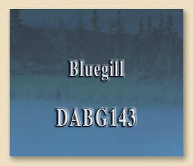 DABG143