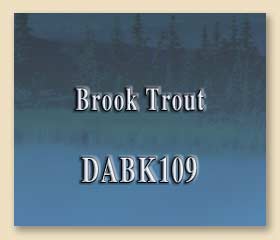 DABK109