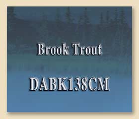 DABK138CM