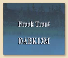 DABK13M