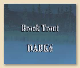 DABK6