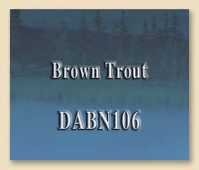 DABN106