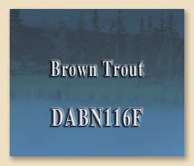 DABN116F