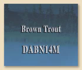 DABN14M