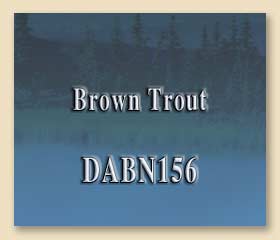 DABN156