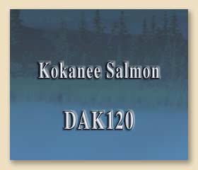 DAK120