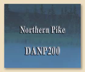 DANP200