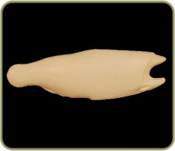 DATR14