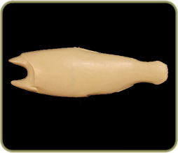 DATR38