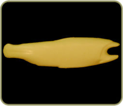 DATR54
