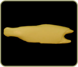 DATR58