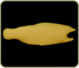 DATR59