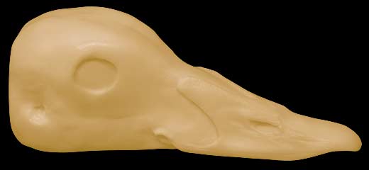DH48