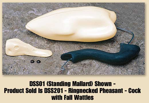 DSS201