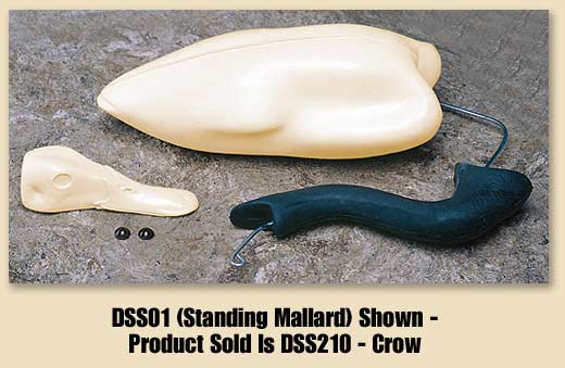 DSS210