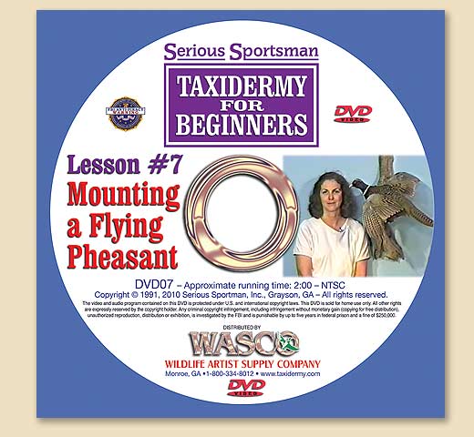 DVD07