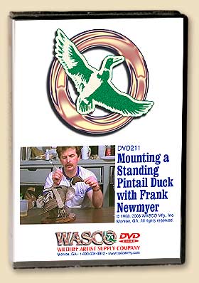 DVD211