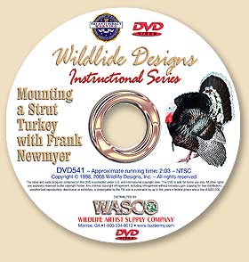 DVD541